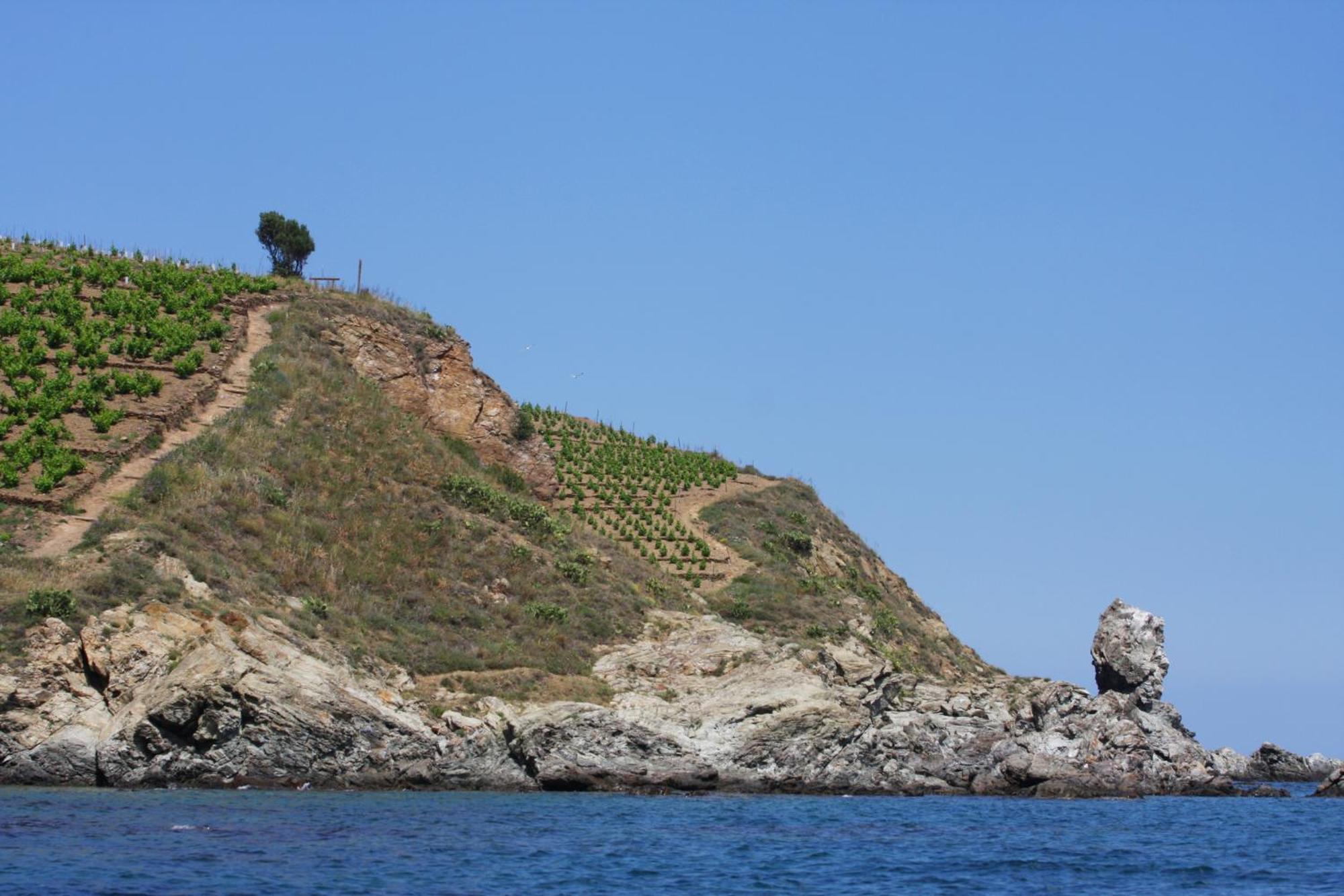 Hotel Logis Solhotel Banyuls-sur-Mer